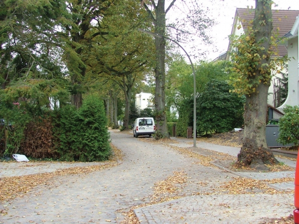 merckelweg